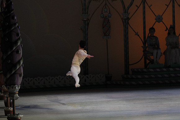 20132412__C7C0453