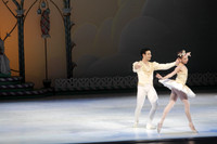 20132412__C7C0409