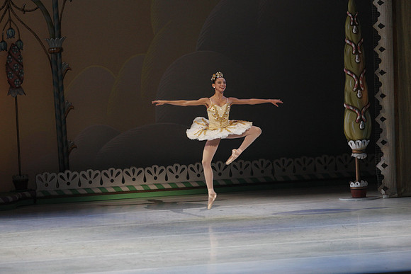 20132412__C7C0488