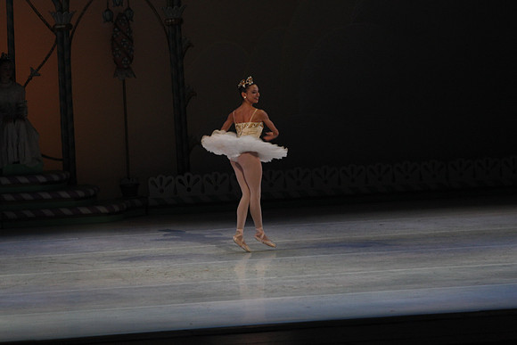 20132412__C7C0489