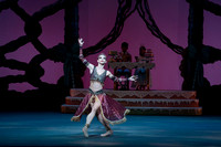 20221215_Nutcrackers_6PM_Dress_Rehersal_DSC0018.ARW