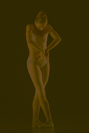 7005_DG_Broward_Art_Center_Ballet_MCB_FL_AL1B0018