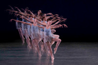 7005_DG_Broward_Art_Center_Ballet_MCB_FL_AL1B3838