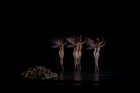 20160317_Midsummer_Nights_Dream_DR_Wide_75A4590