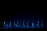 20260220_Serenade_DR_DSC5701