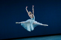 20260220_Serenade_DR_DSC6638