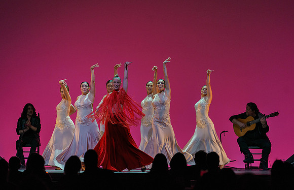 20210417_Siudy_ flamenco_archt_DSC9896