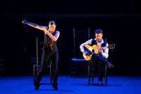 2026 Flamenco Picks Marketing