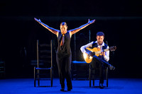 2026 Flamenco Arsht