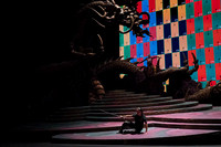 20260305_Turandot_Arsht _DSC3704