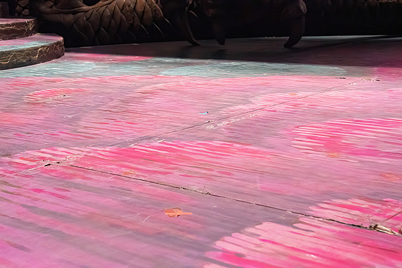 DN_20260305_Turandot_Arsht _DSC3954DN_