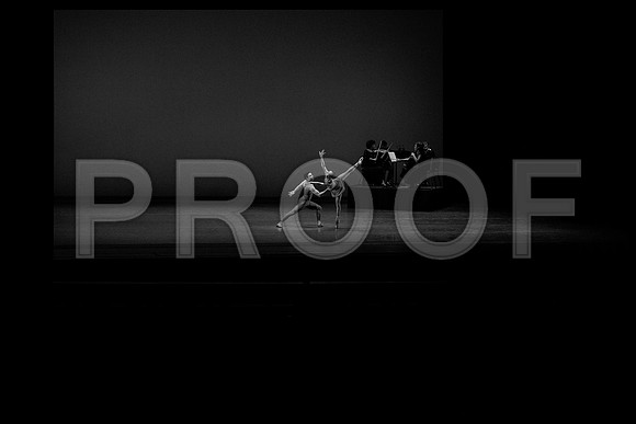 20140110_AL1B5216 BW