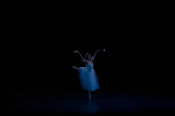 7064_DG_GISELLE_Broward_Preformance_Miami_City_Ballet_FL_AL1B2189