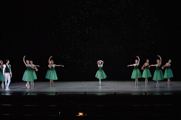 _DSC1937