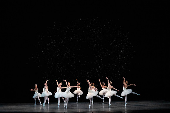 _DSC6616