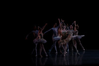 20160318_Midsummer_Night's_Dream_PR_Closeup_G3P0006