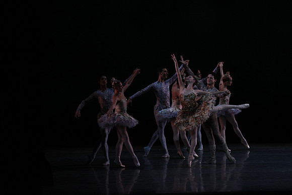 20160318_Midsummer_Night's_Dream_PR_Closeup_G3P0006