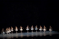 20260329_Ameralds_Matinee_Arsht_2026_DSC5116
