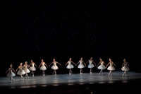 20260329_Ameralds_Matinee_Arsht_2026_DSC5125