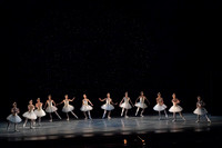 20260329_Ameralds_Matinee_Arsht_2026_DSC5127