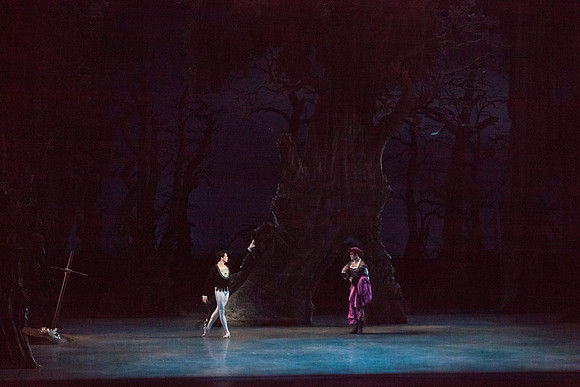 7064_DG_GISELLE_Broward_Preformance_Miami_City_Ballet_FL_IMG_4462