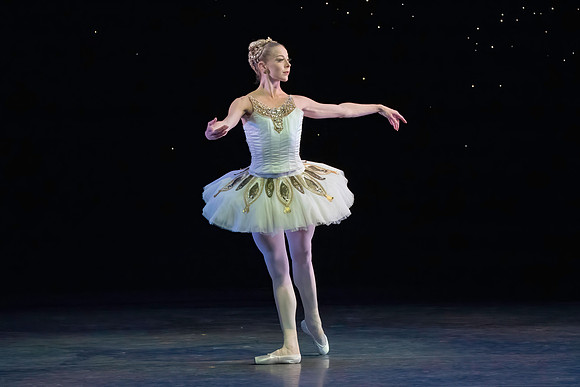 20260329_untitled20260329_Ameralds_Matinee_Arsht_2026_DSC6070