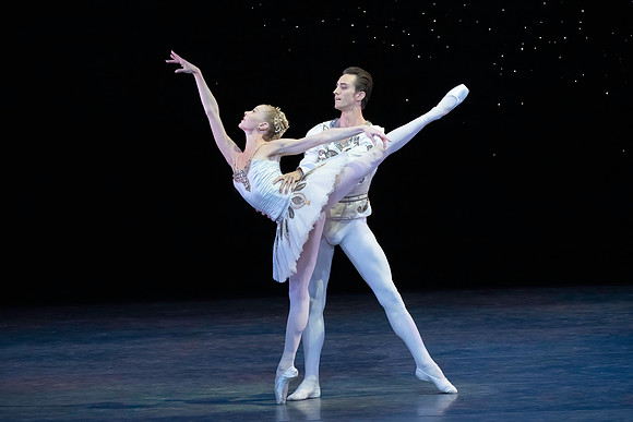 20260329_untitled20260329_Ameralds_Matinee_Arsht_2026_DSC6161