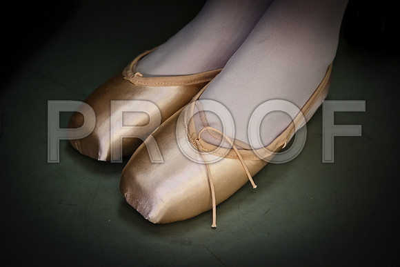 20110922_Miami_City_Ballet_175240_ZV4N1683