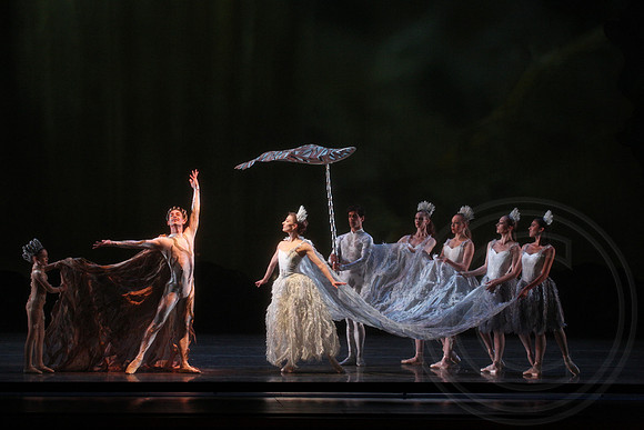 20160317_Midsummer_Nights_Dream_DR_Closeup_IMG_5818