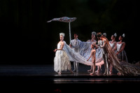 20160317_Midsummer_Nights_Dream_DR_Closeup_IMG_5792