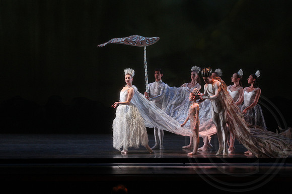 20160317_Midsummer_Nights_Dream_DR_Closeup_IMG_5792