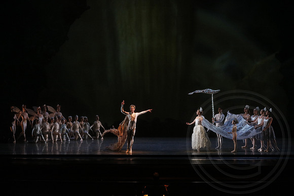 20160317_Midsummer_Nights_Dream_DR_Wide_75A4394