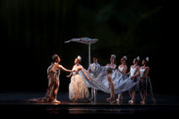 20160317_Midsummer_Nights_Dream_DR_Closeup_IMG_5827