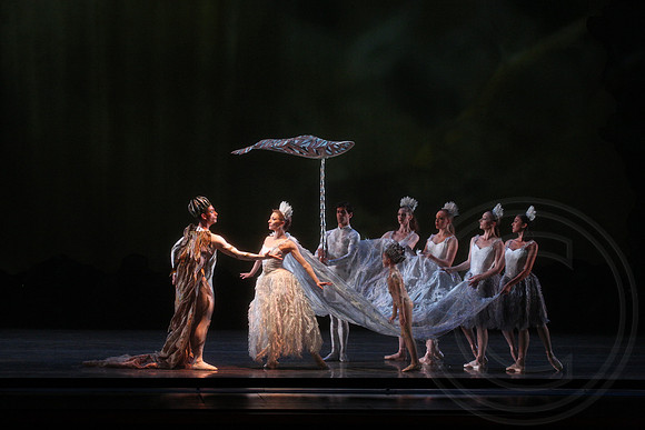 20160317_Midsummer_Nights_Dream_DR_Closeup_IMG_5827