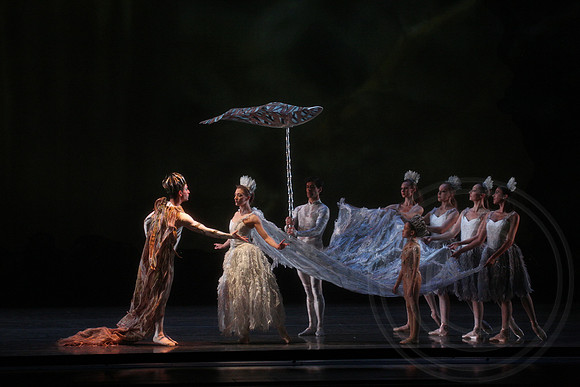20160317_Midsummer_Nights_Dream_DR_Closeup_IMG_5733