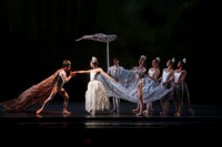 20160317_Midsummer_Nights_Dream_DR_Closeup_IMG_5785