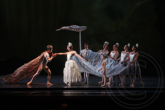 20160317_Midsummer_Nights_Dream_DR_Closeup_IMG_5785