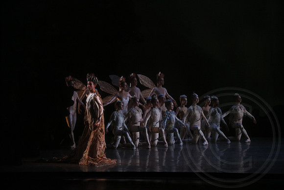 20160317_Midsummer_Nights_Dream_DR_Wide_75A4378