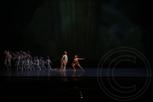 20160317_Midsummer_Nights_Dream_DR_Wide_75A4373