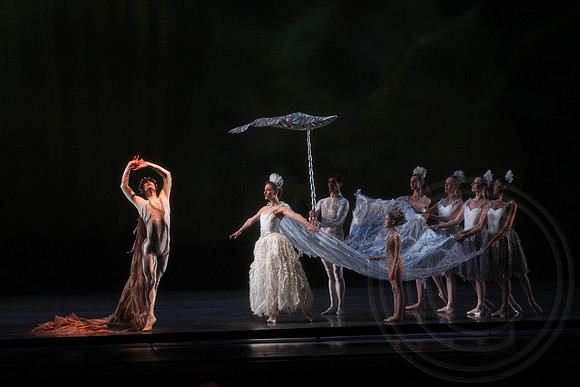 20160317_Midsummer_Nights_Dream_DR_Closeup_IMG_5707