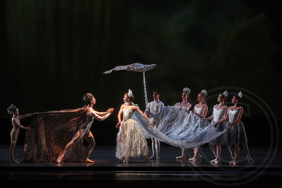 20160317_Midsummer_Nights_Dream_DR_Closeup_IMG_5821
