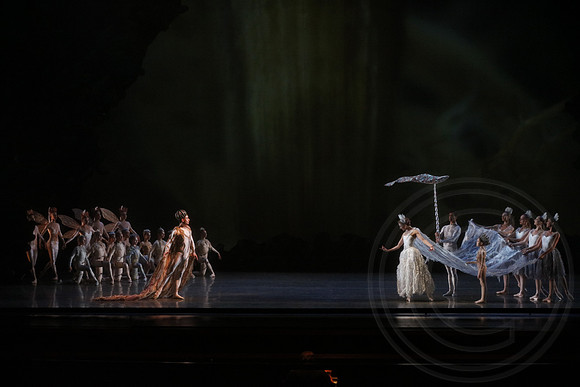 20160317_Midsummer_Nights_Dream_DR_Wide_75A4383