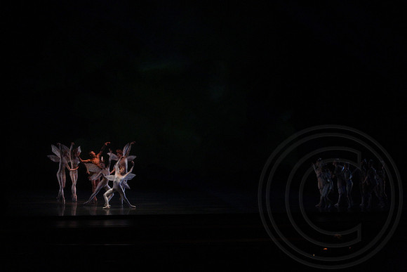 20160318_Midsummer_Nights_Dream_PR_Raws_Wide_IMG_0201