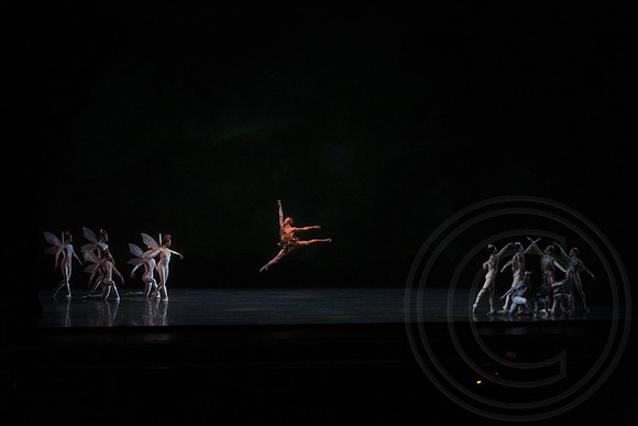 20160318_Midsummer_Nights_Dream_PR_Raws_Wide_IMG_0108-1