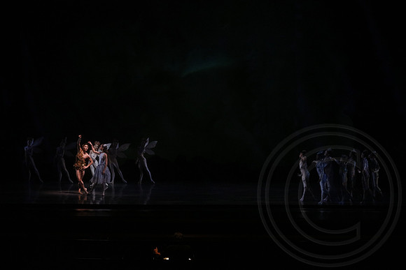 20160317_Midsummer_Nights_Dream_DR_Wide_75A4307