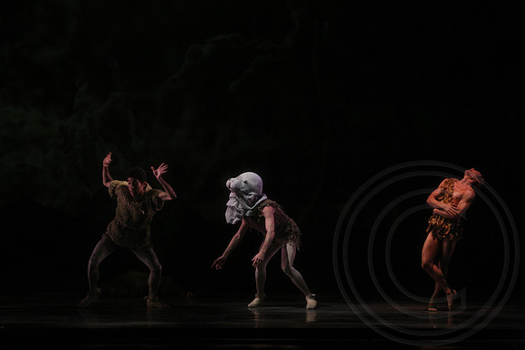 20160317_Midsummer_Nights_Dream_DR_Closeup_IMG_8187