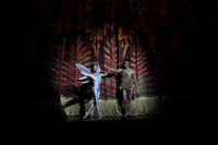 20160318_Midsummer_Nights_Dream_PR_Wide_IMG_7692