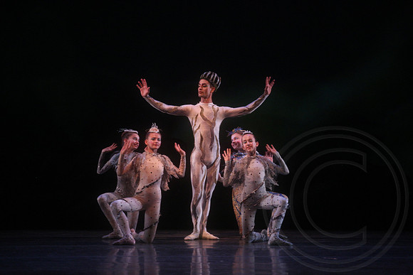 20160317_Midsummer_Nights_Dream_DR_Closeup_IMG_6629