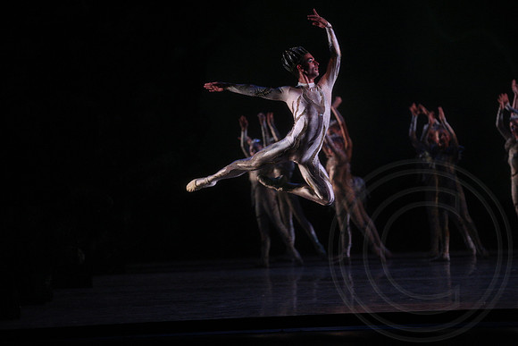 20160317_Midsummer_Nights_Dream_DR_Closeup_IMG_6981