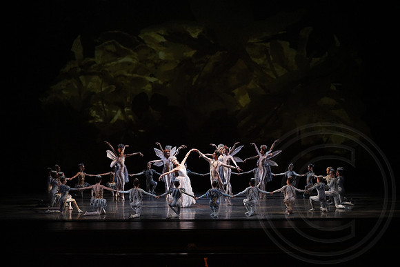 20160317_Midsummer_Nights_Dream_DR_Closeup_75A8922